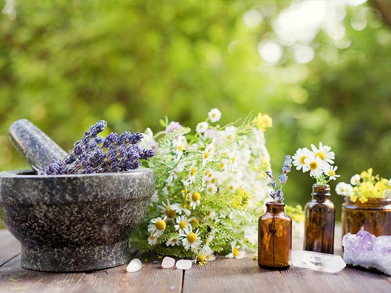 A healthier life begins with Honest Ayurveda - We Herbal | Honest Ayurveda