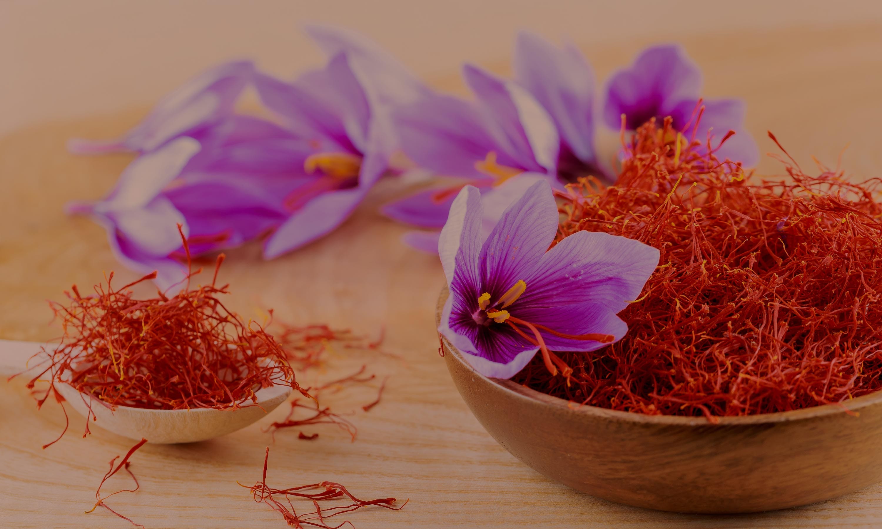 Celebrating Navratri with Ayurvedic Rituals