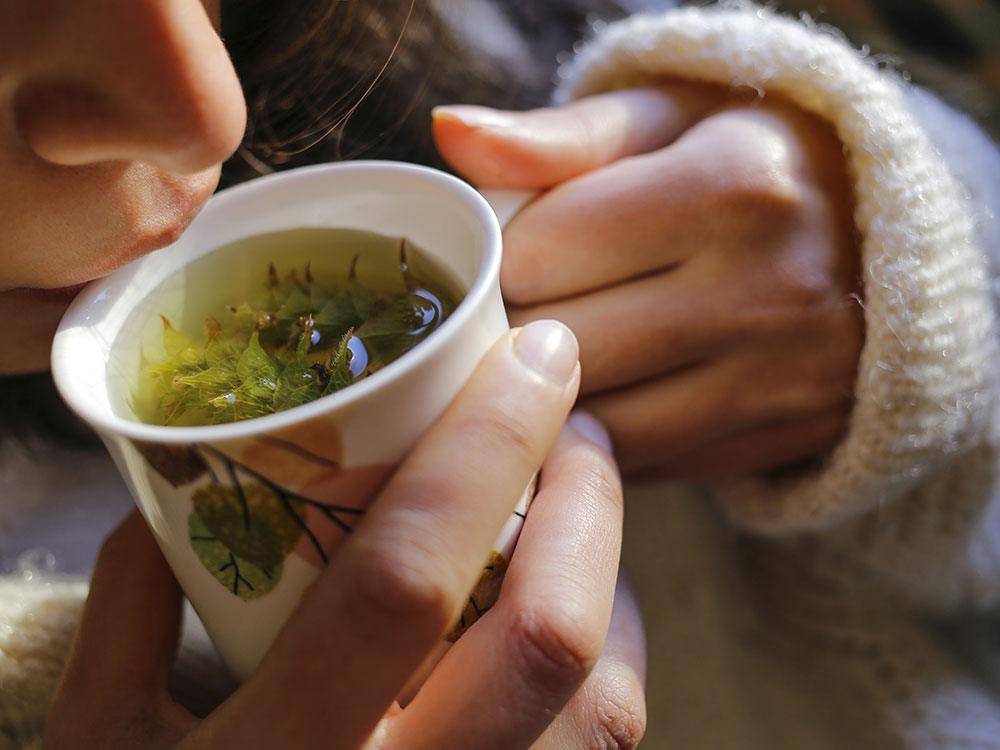 Do Your Liver a Favour - We Herbal | Honest Ayurveda