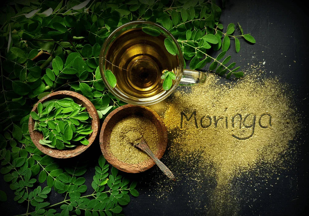 Organic Moringa Powder - We Herbal | Honest Ayurveda