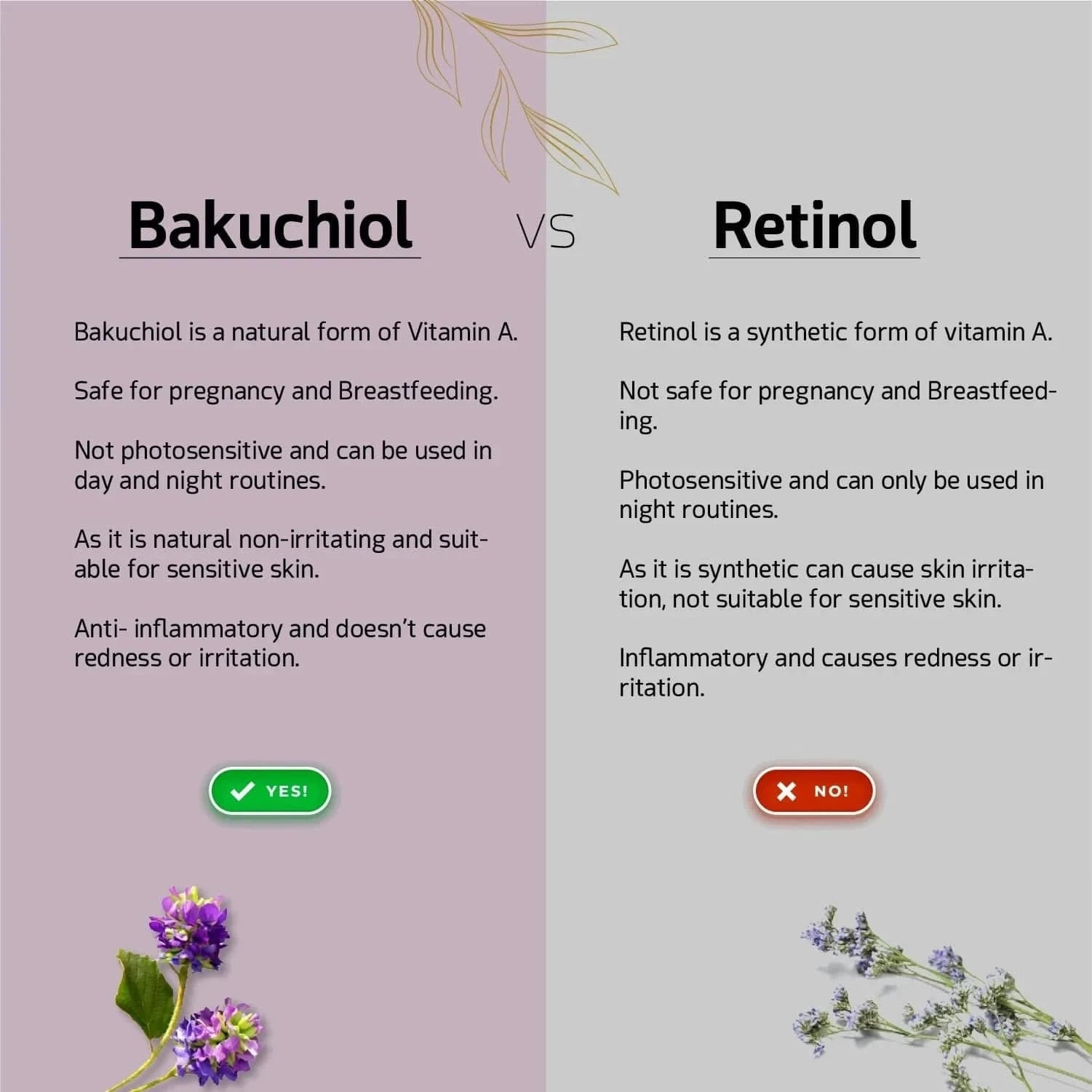 Bakuchiol Anti - Aging Serum - We Herbal | Honest Ayurveda