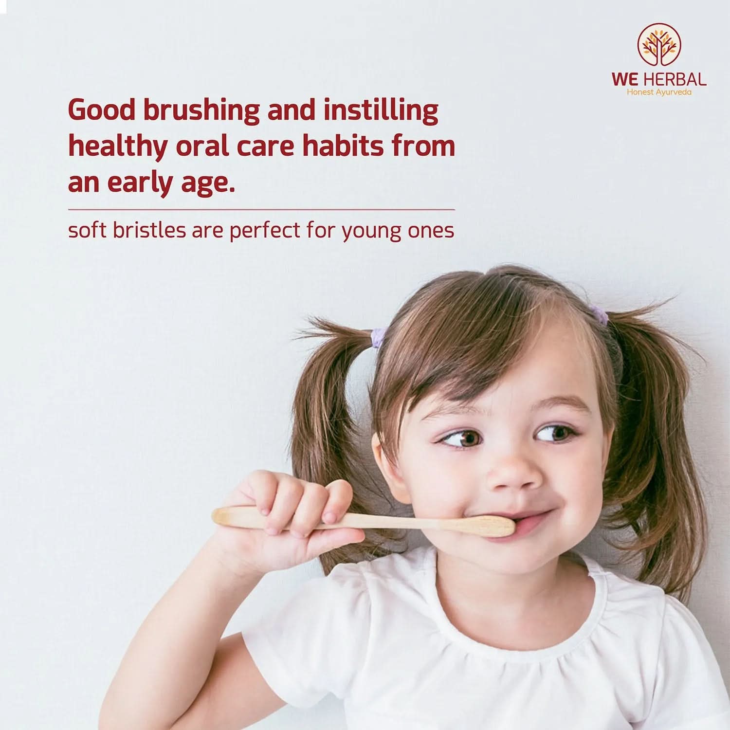 Bamboo Brush Family Combo Pack - We Herbal | Honest Ayurveda