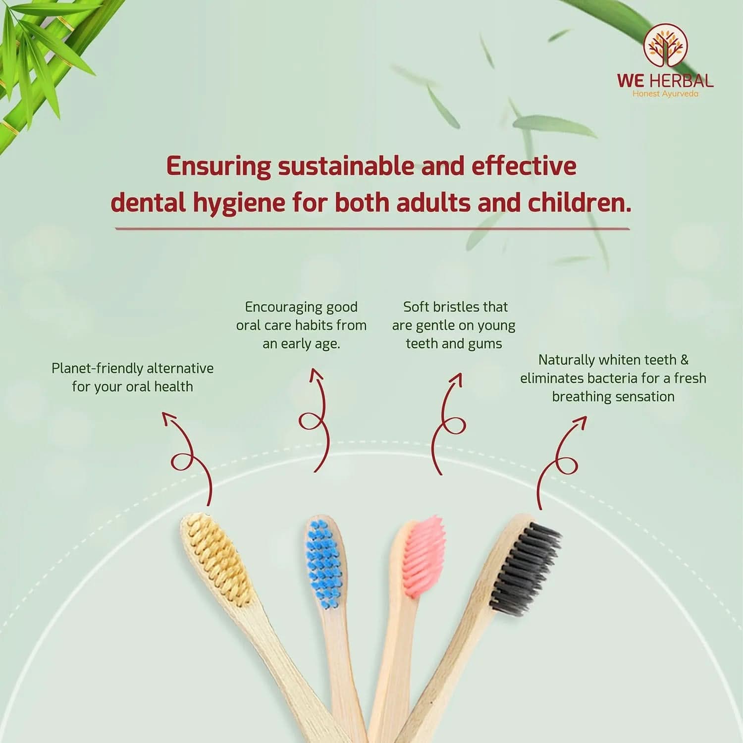 Bamboo Brush Family Combo Pack - We Herbal | Honest Ayurveda