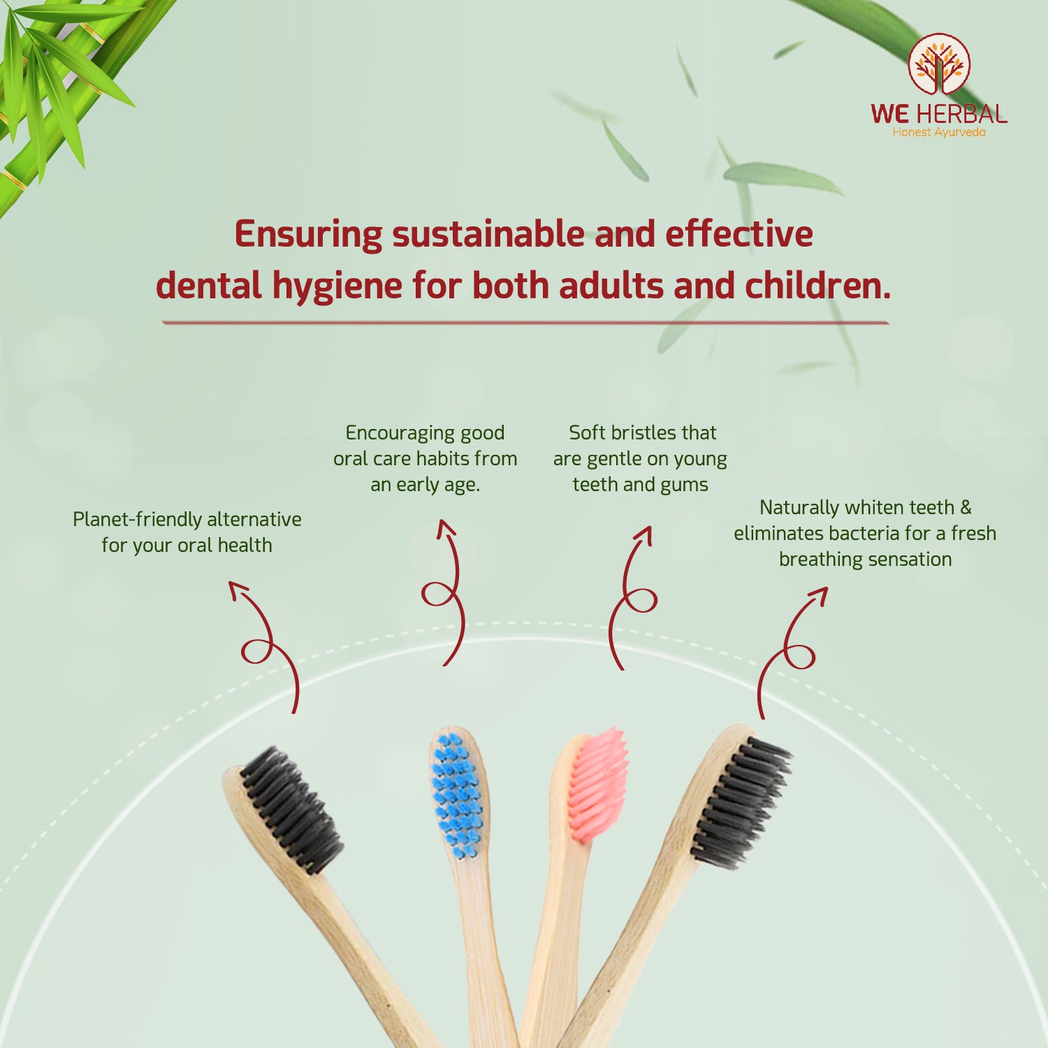 Bamboo Brush Family Combo Pack