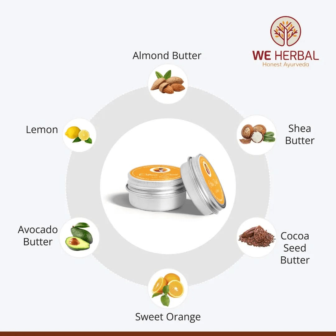 Limited Edition Citrus Fruit Lip Balm - We Herbal | Honest Ayurveda