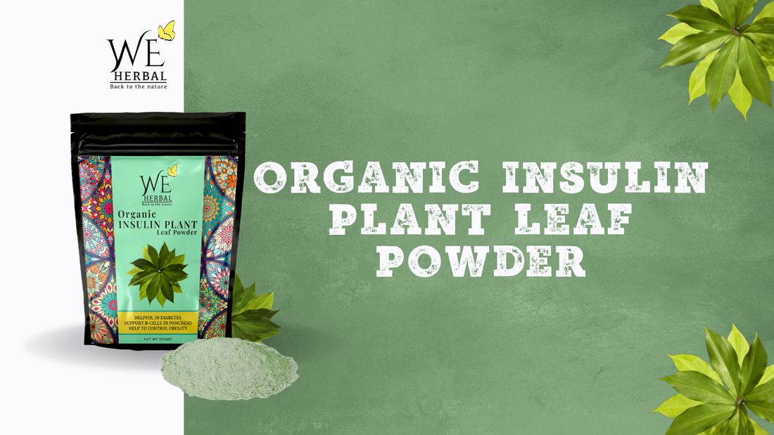 Organic Insulin Plant Leaf Powder