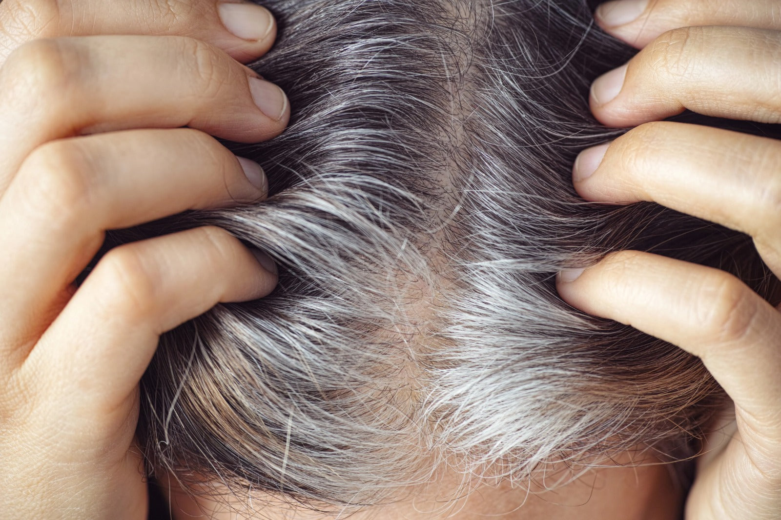 How to Prevent Premature Graying with Ayurvedic Hair Oils?