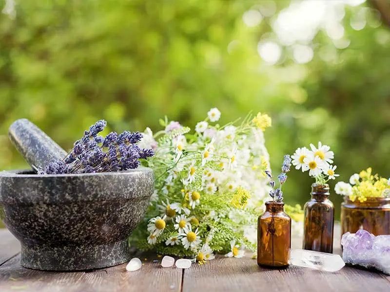 A healthier life begins with Honest Ayurveda - We Herbal