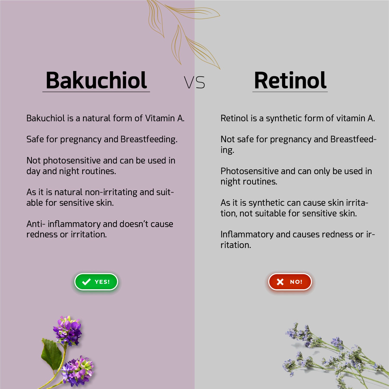 We Herbal bakuchiol vs retinol​