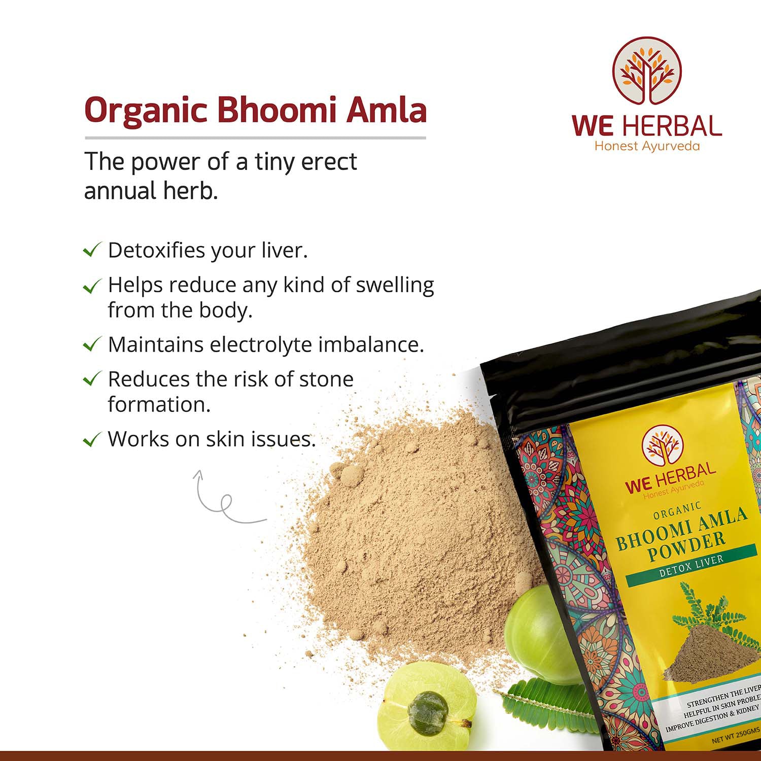 Organic Bhumi Amla Powder & Organic Moringa Powder Combo We Herbal | Back to the Nature
