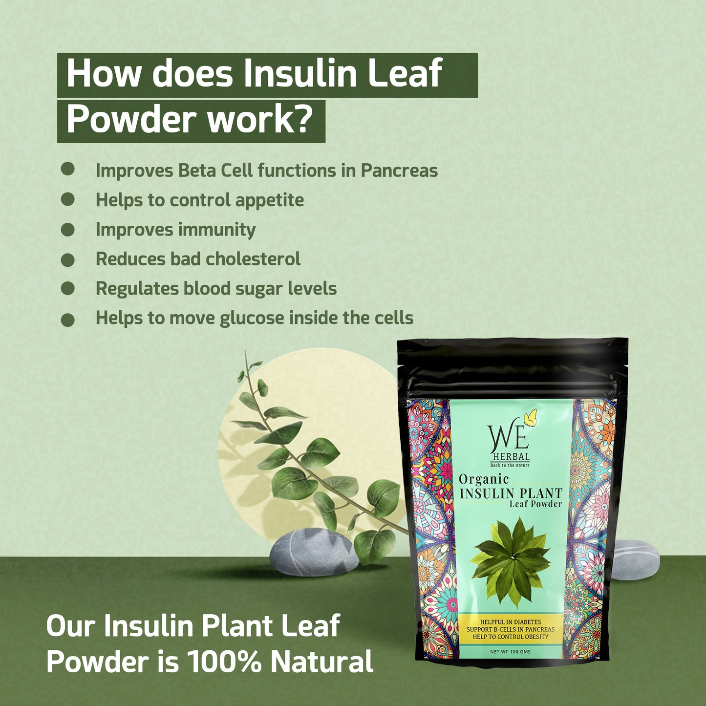 Insulin Plant Leaf Powder | Insulin Plant We Herbal | Back to the Nature