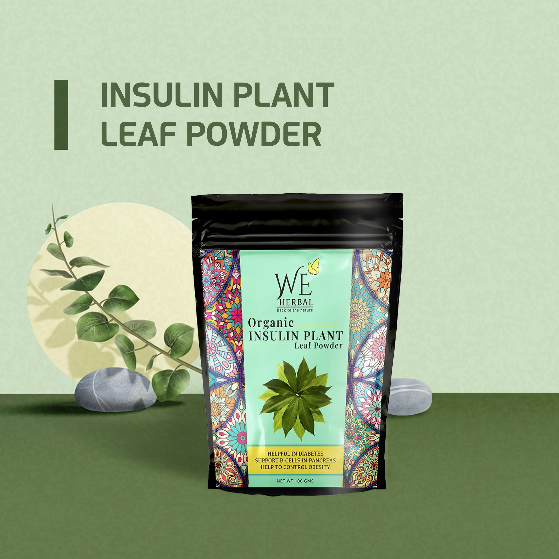 Insulin Plant Leaf Powder | Insulin Plant We Herbal | Back to the Nature