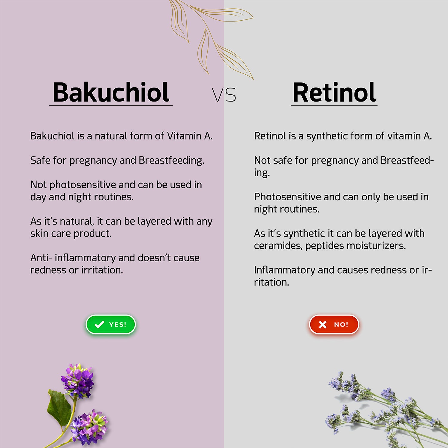 Bakuchiol Oil (Babchi or Bakuchi Oil) We Herbal | Honest Ayurveda
