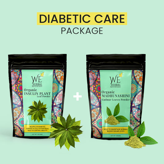 Diabetic Care Package - Insulin Powder (100gm) + Madhunashini Powder (100gm) We Herbal | Back to the Nature